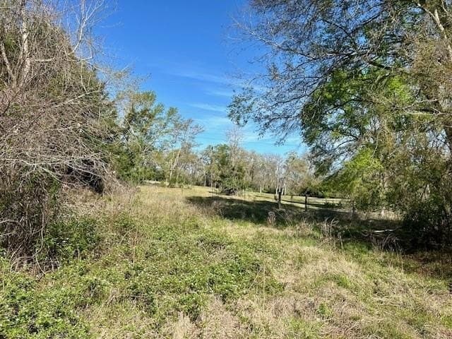 9.05 acres in Leon County - photo 5