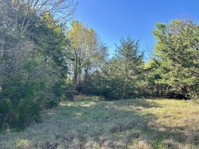 9.05 acres in Leon County - photo 6