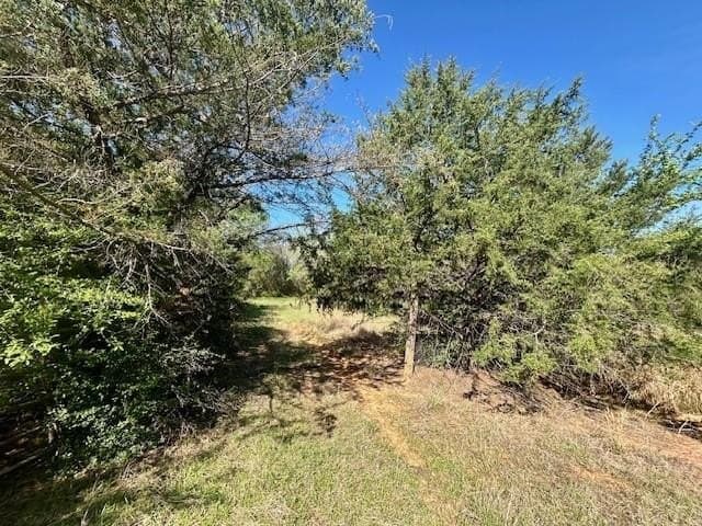 9.05 acres in Leon County - photo 13