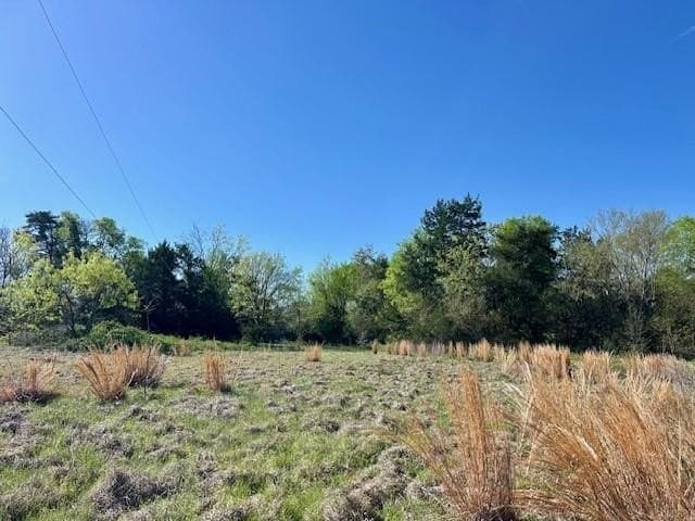 9.05 acres in Leon County - photo 18