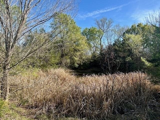9.05 acres in Leon County - photo 10