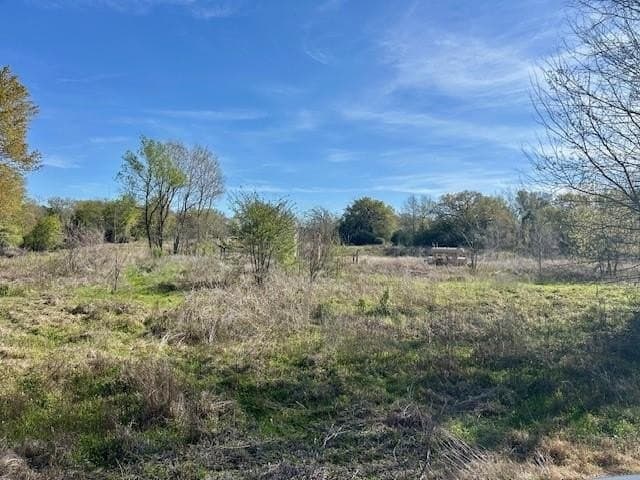 9.05 acres in Leon County - photo 7
