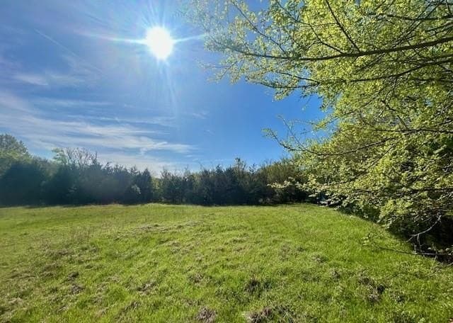 9.05 acres in Leon County - photo 3