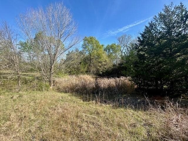 9.05 acres in Leon County - photo 12