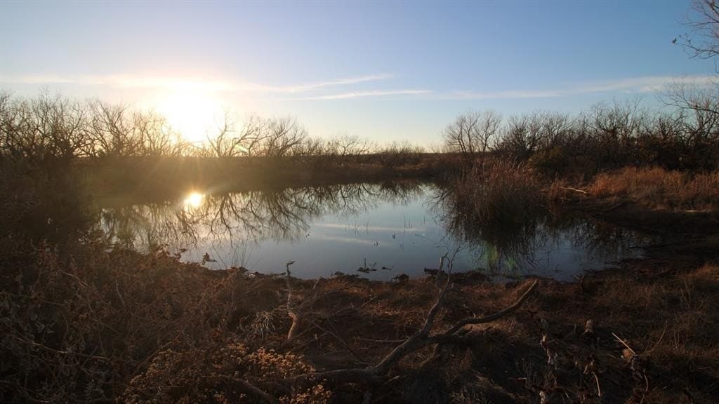 80.97 acres in Taylor County - photo 37