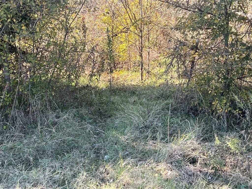 48.49 acres in Limestone County - photo 16