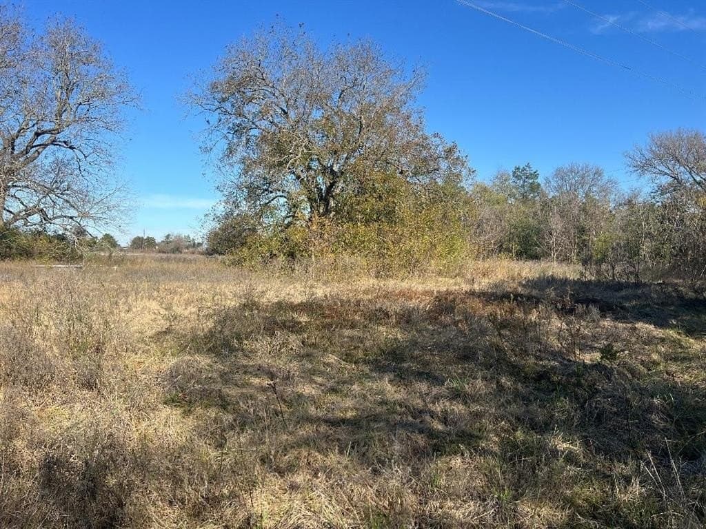 48.49 acres in Limestone County - photo 8