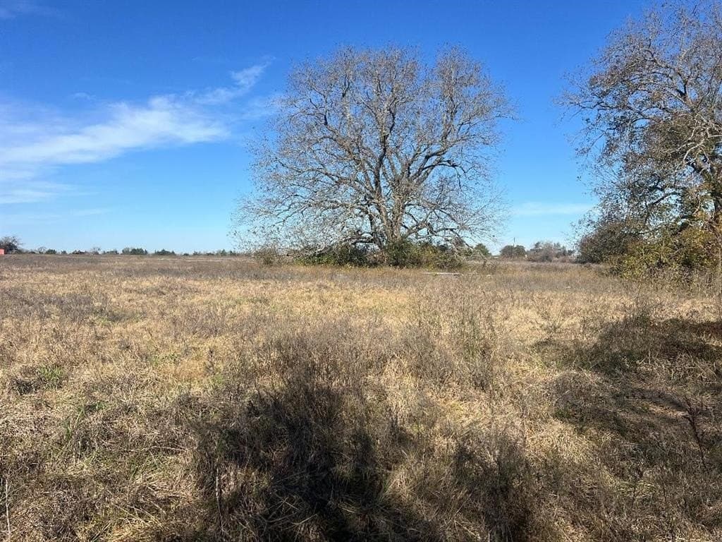48.49 acres in Limestone County - photo 11