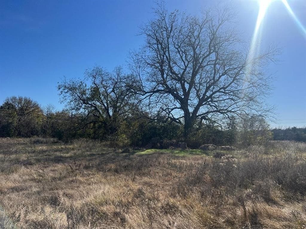 48.49 acres in Limestone County - photo 5