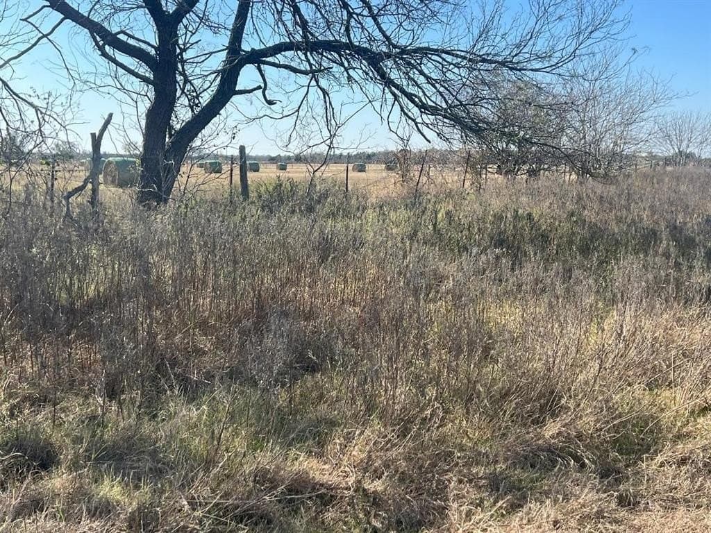 48.49 acres in Limestone County - photo 14