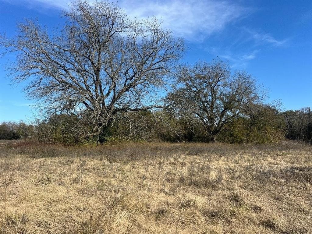 48.49 acres in Limestone County - photo 3