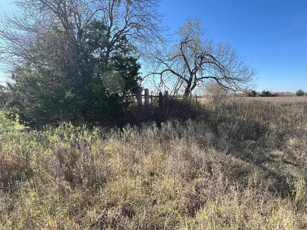 48.49 acres in Limestone County - photo 9