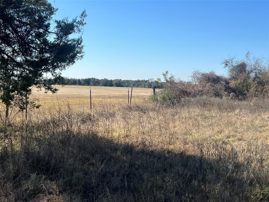 48.49 acres in Limestone County - photo 15