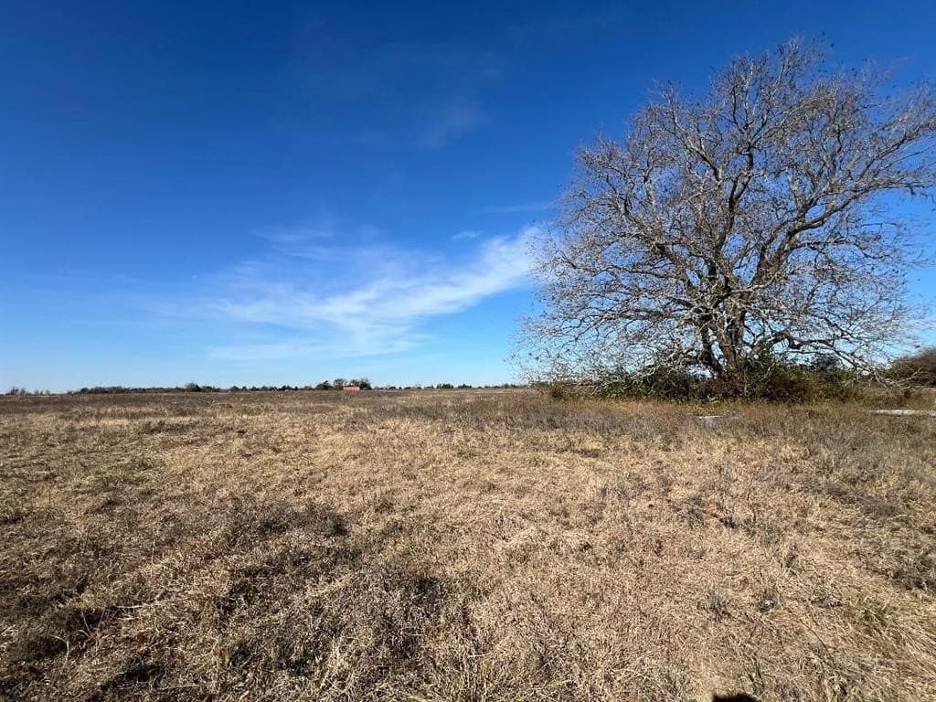 48.49 acres in Limestone County - photo 7