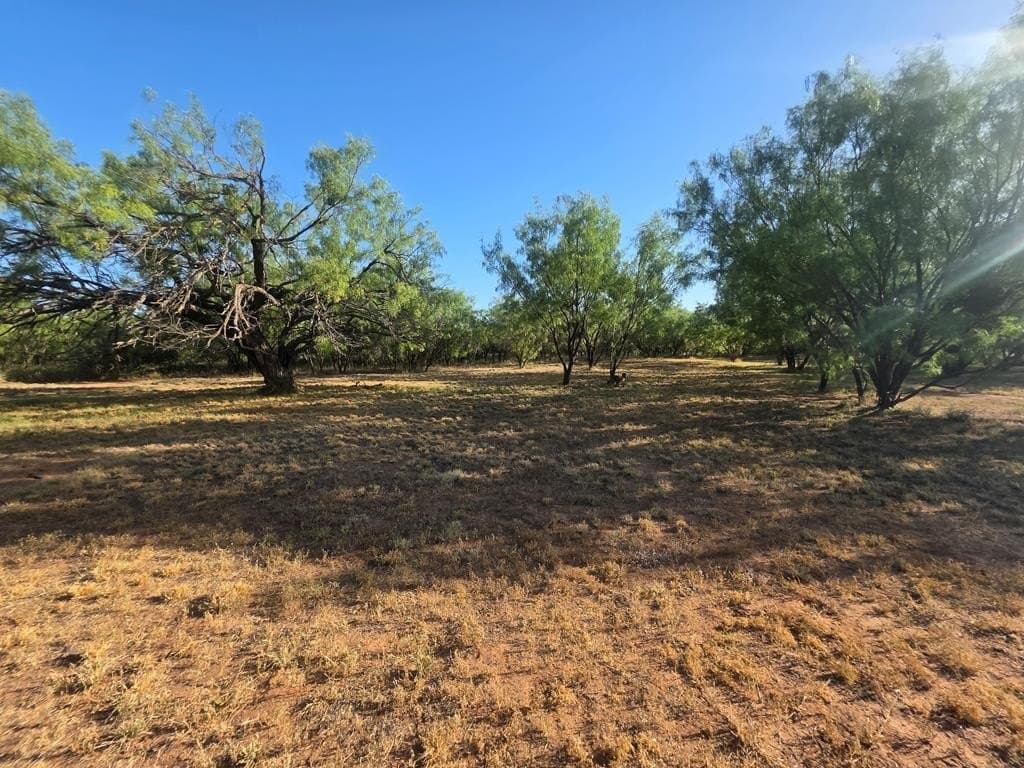 120 acres in Nolan County - photo 35