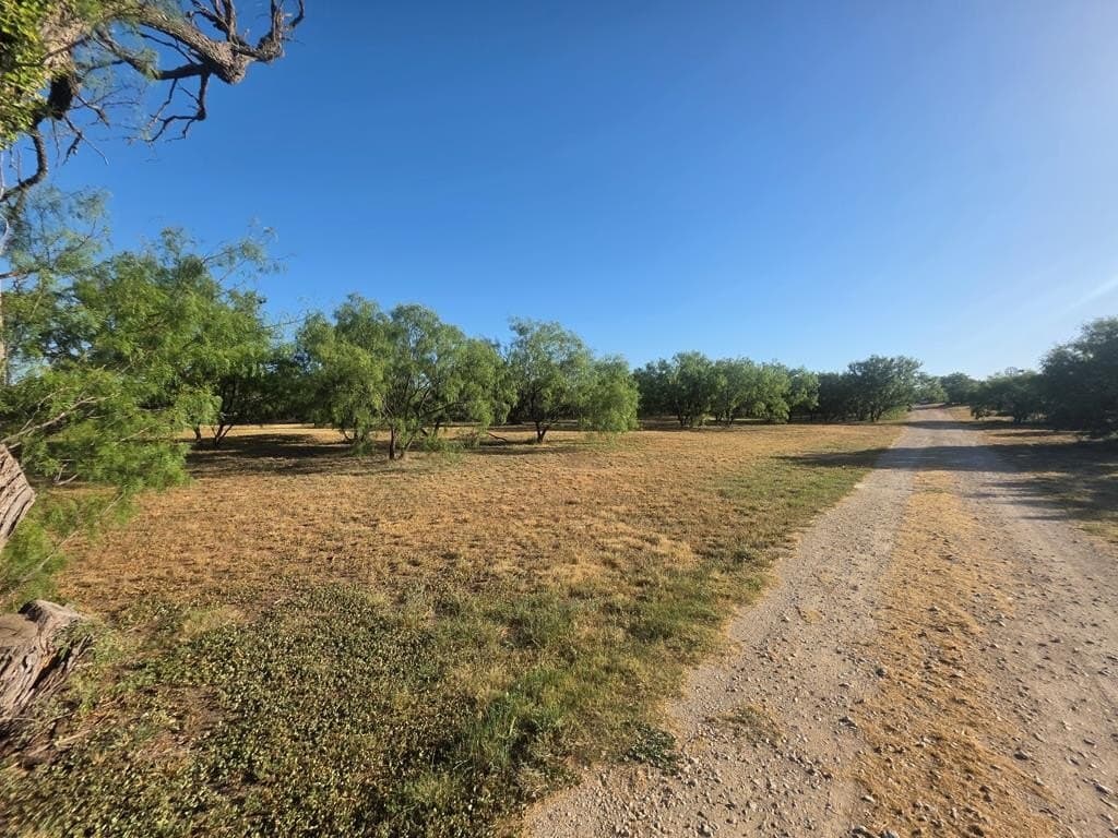 120 acres in Nolan County - photo 33