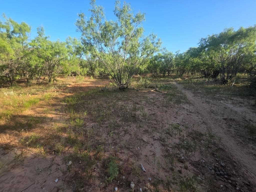 120 acres in Nolan County - photo 67