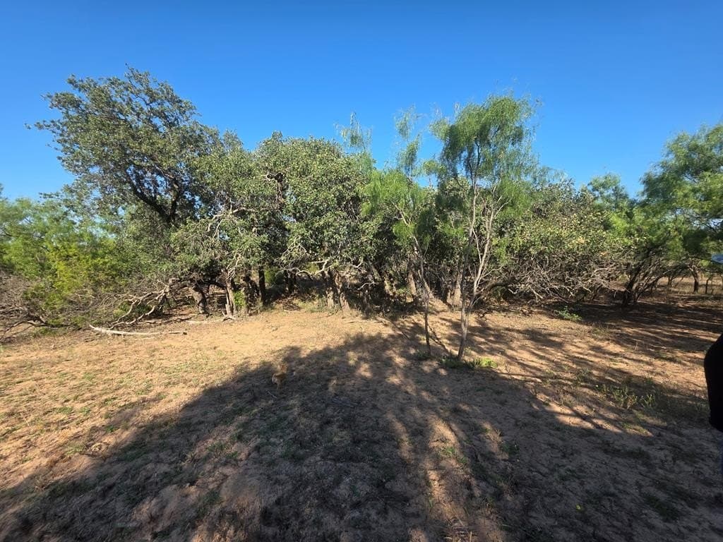 120 acres in Nolan County - photo 30