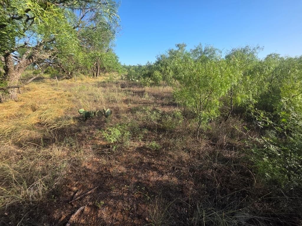 120 acres in Nolan County - photo 36