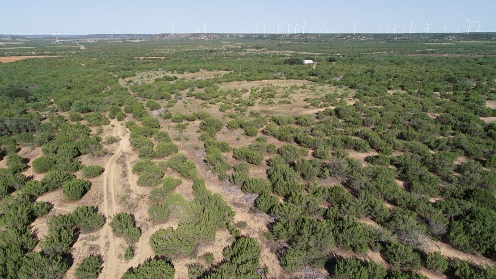120 acres in Nolan County - photo 8