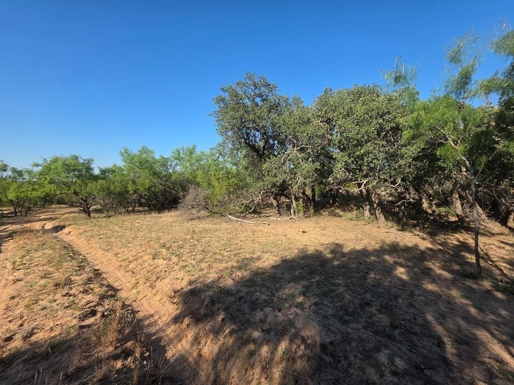 120 acres in Nolan County - photo 29