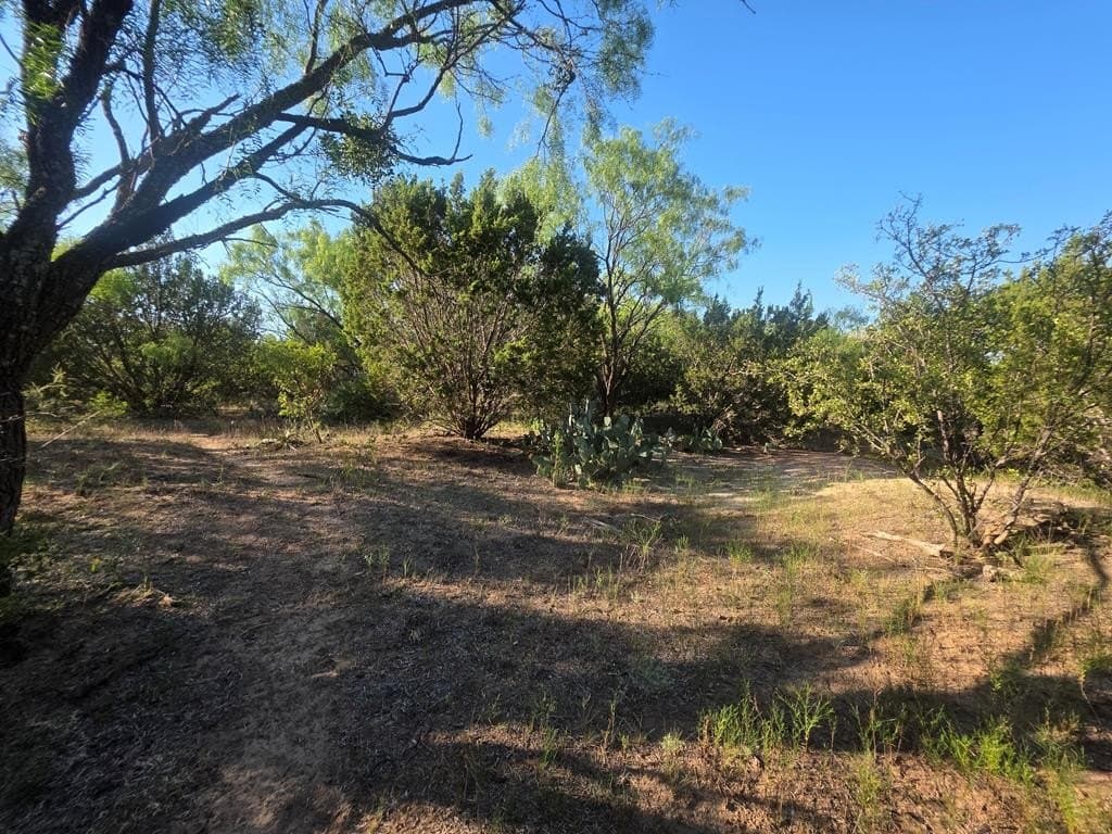 120 acres in Nolan County - photo 23
