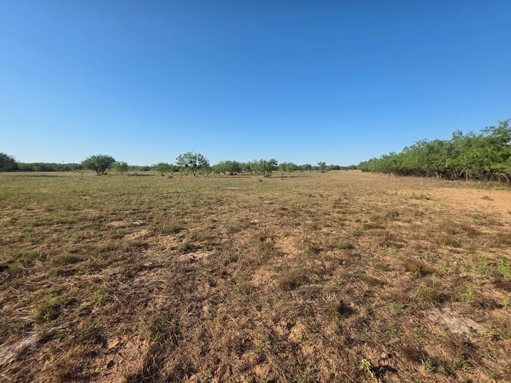 120 acres in Nolan County - photo 21