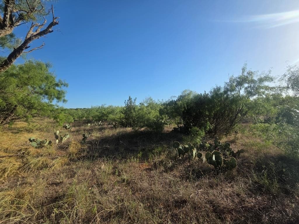120 acres in Nolan County - photo 38