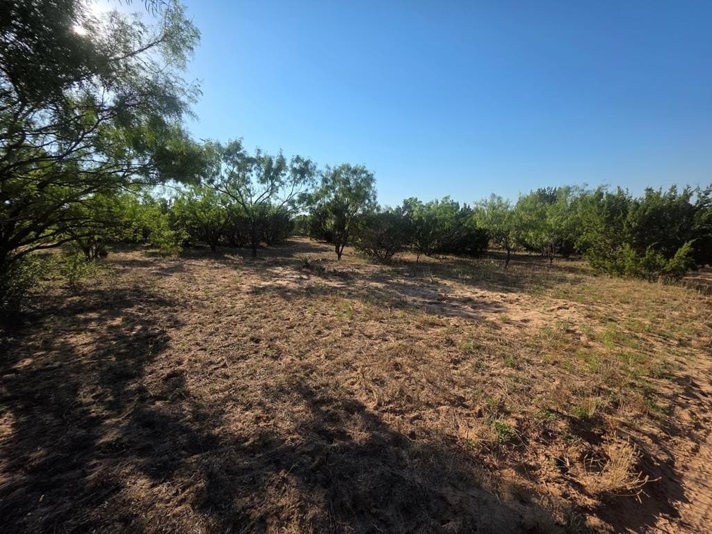 120 acres in Nolan County - photo 28