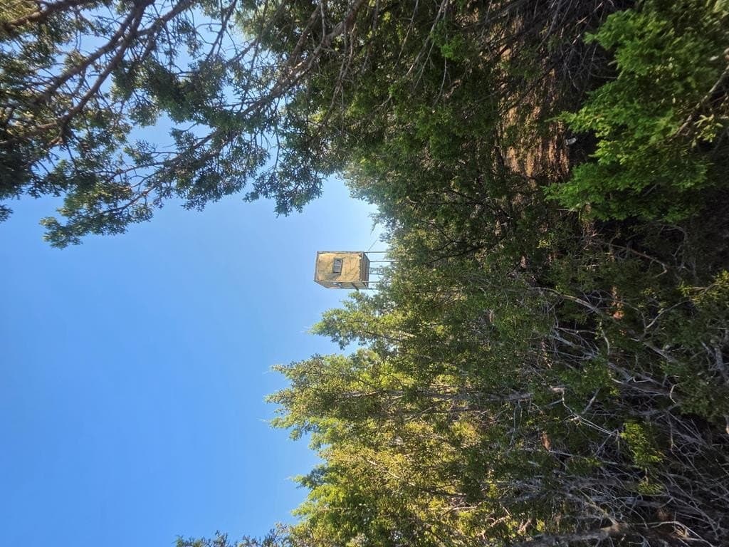 120 acres in Nolan County - photo 25