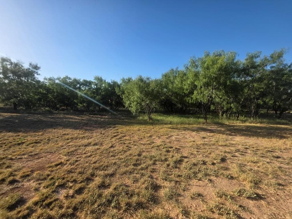 120 acres in Nolan County - photo 39