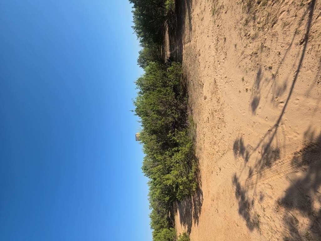 120 acres in Nolan County - photo 27