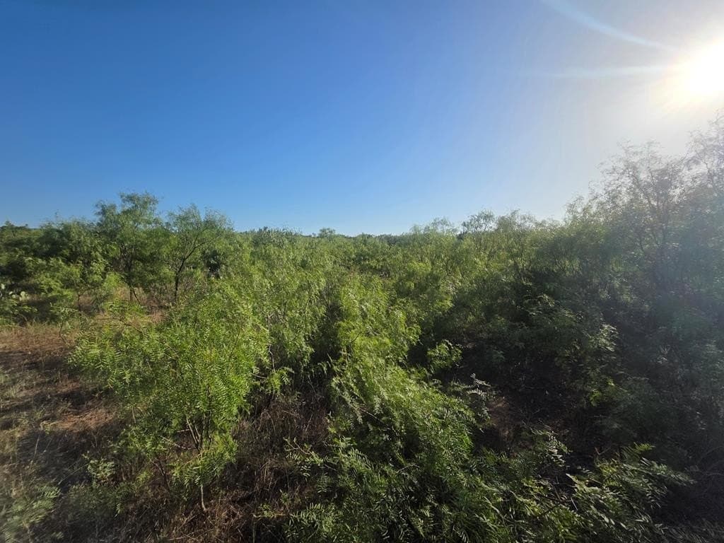 120 acres in Nolan County - photo 37