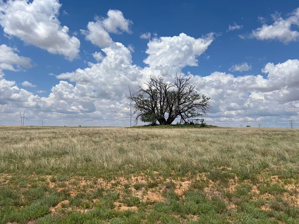 12.73 acres in Scurry County - photo 3