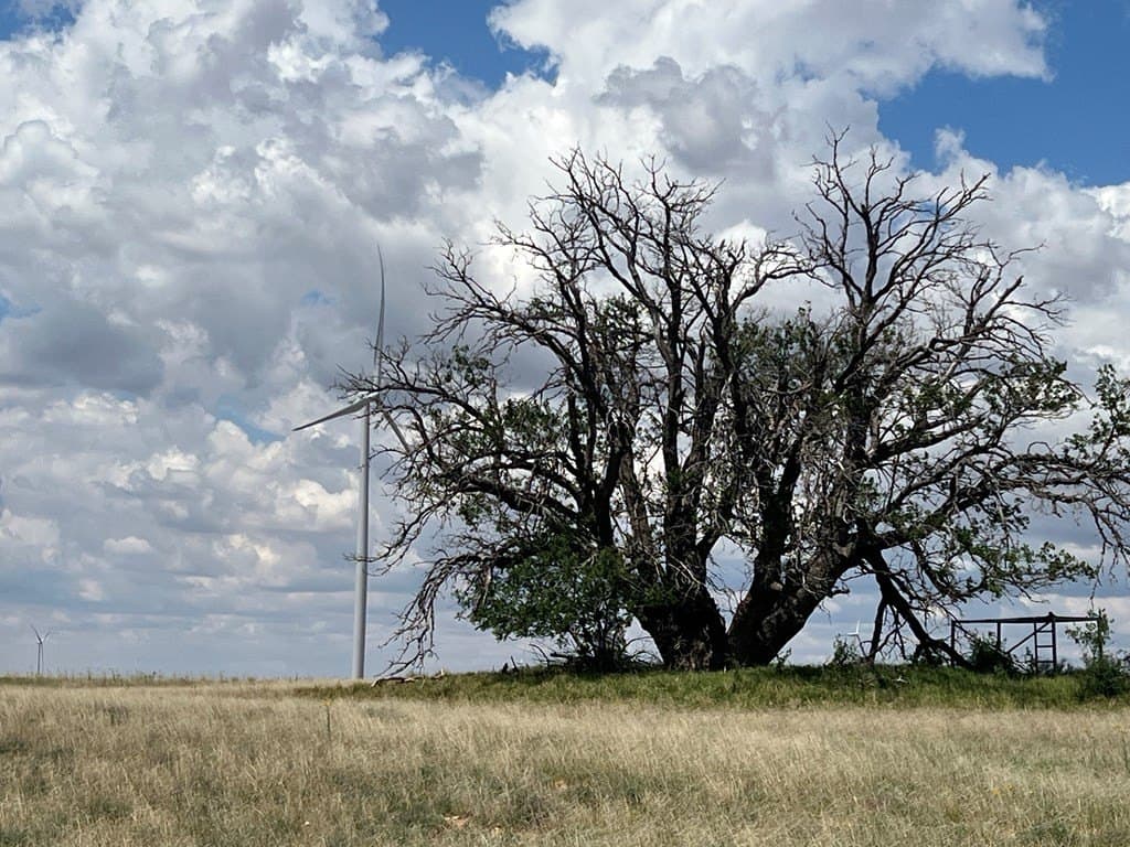 12.73 acres in Scurry County - photo 4