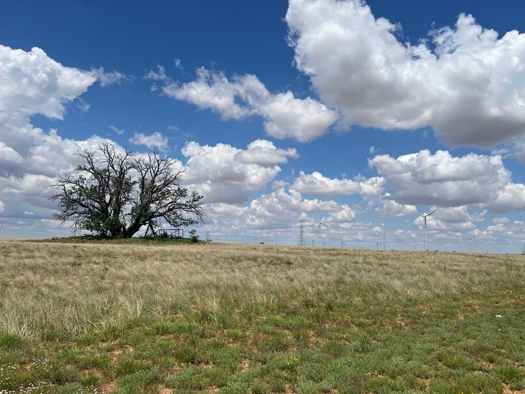 12.73 acres in Scurry County - photo 2