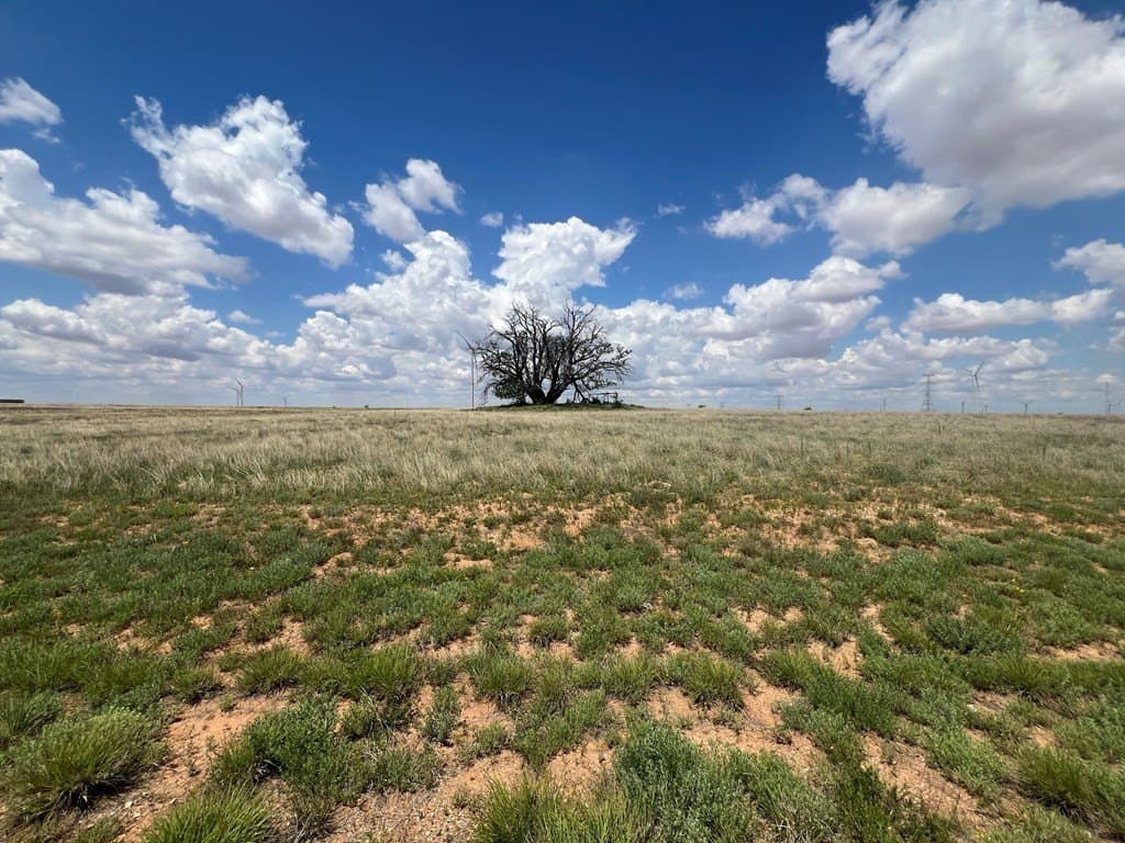 12.73 acres in Scurry County - photo 5