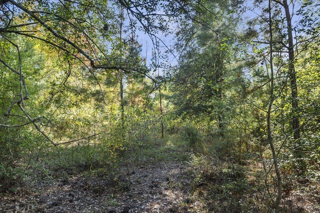 12.45 acres in Texas County - photo 3