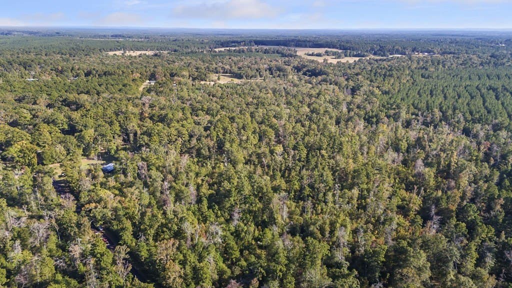 12.45 acres in Texas County - photo 6