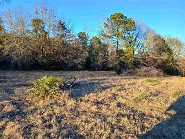 2 acres in Harrison County - photo 2