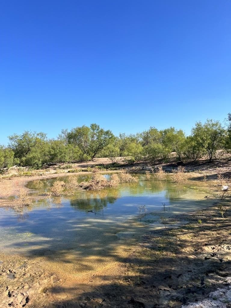 23.68 acres in Maverick County - photo 33