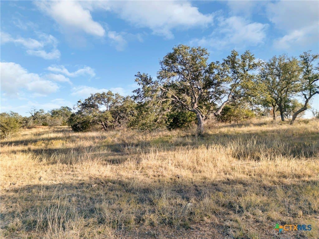 10.01 acres in San Saba County - photo 7