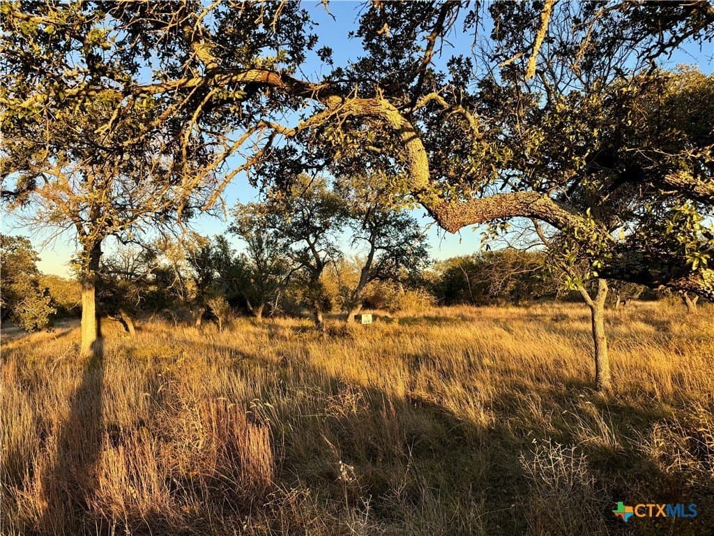 10.01 acres in San Saba County - photo 4