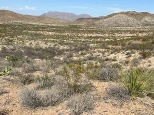 40 acres in Brewster County - photo 11
