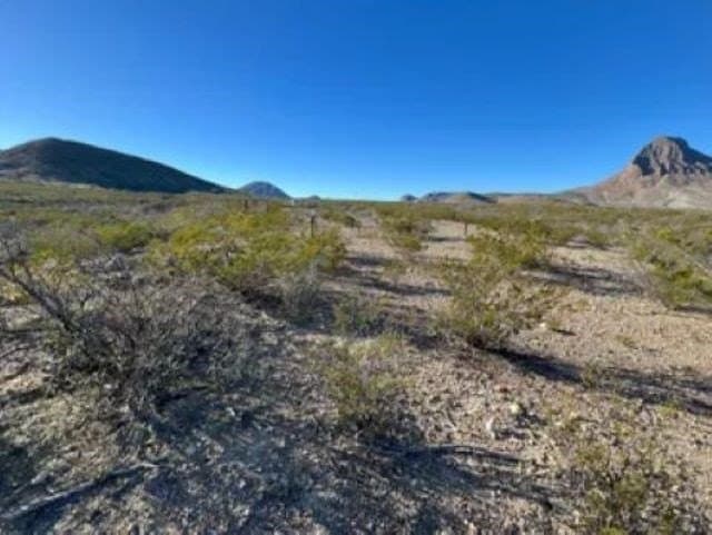 40 acres in Brewster County - photo 16