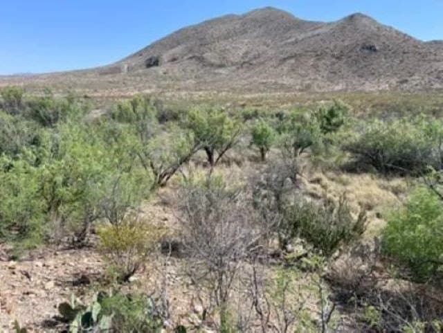 40 acres in Brewster County - photo 24