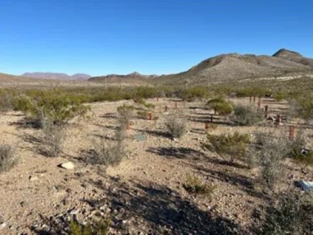 40 acres in Brewster County - photo 21