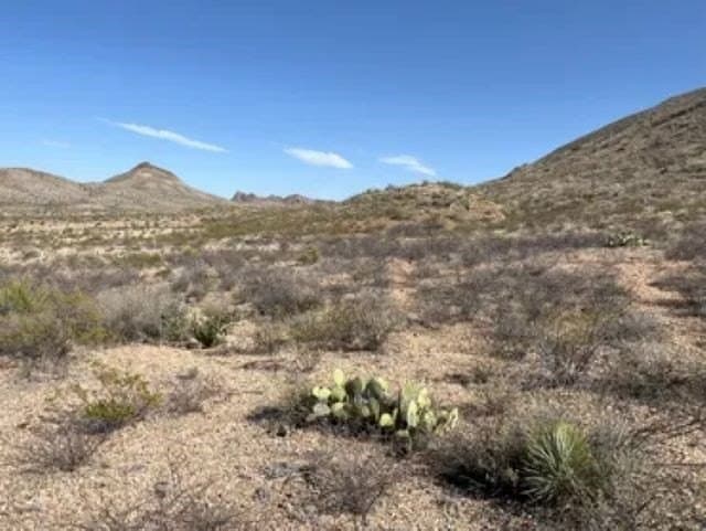 40 acres in Brewster County - photo 5