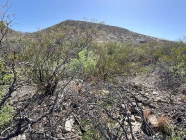 40 acres in Brewster County - photo 14