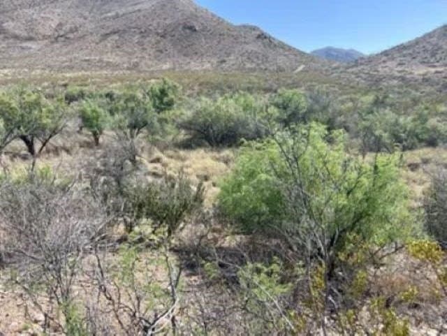 40 acres in Brewster County - photo 26